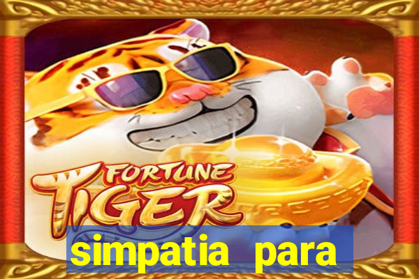 simpatia para ganhar na mega sena com arroz